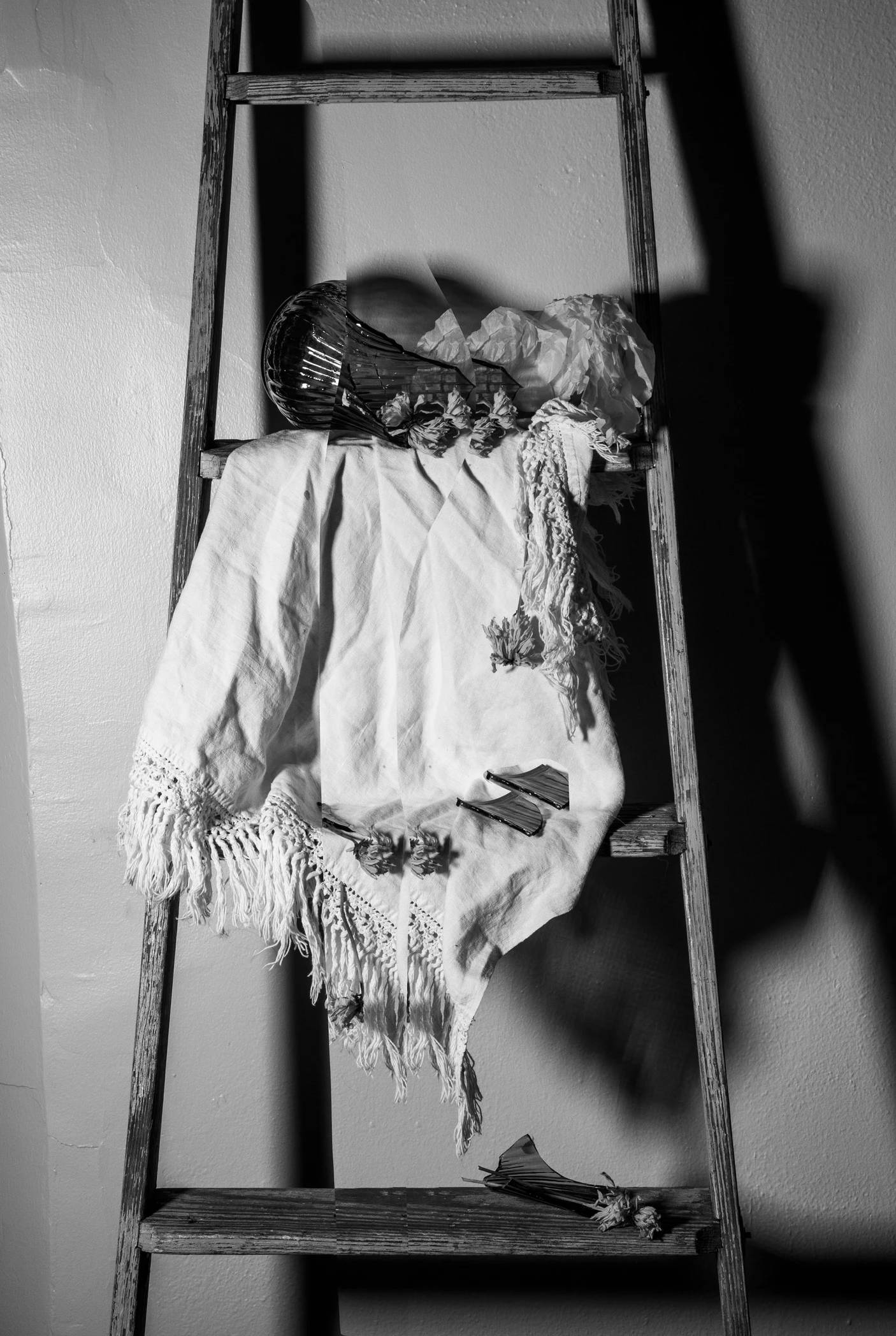 Black and white photograph of floral still life